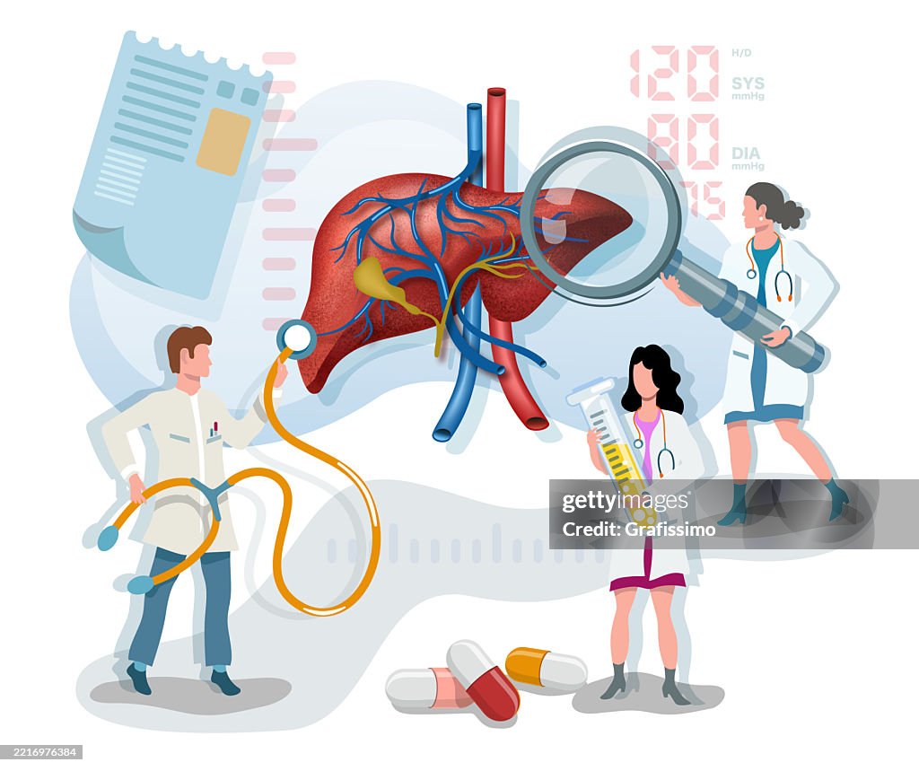 Flat vector illustration of three doctor examining human liver flat vector illustration