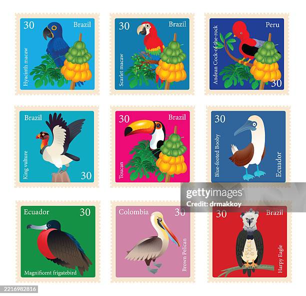 südamerika vögel briefmarken - briefmarken sammeln stock-grafiken, -clipart, -cartoons und -symbole