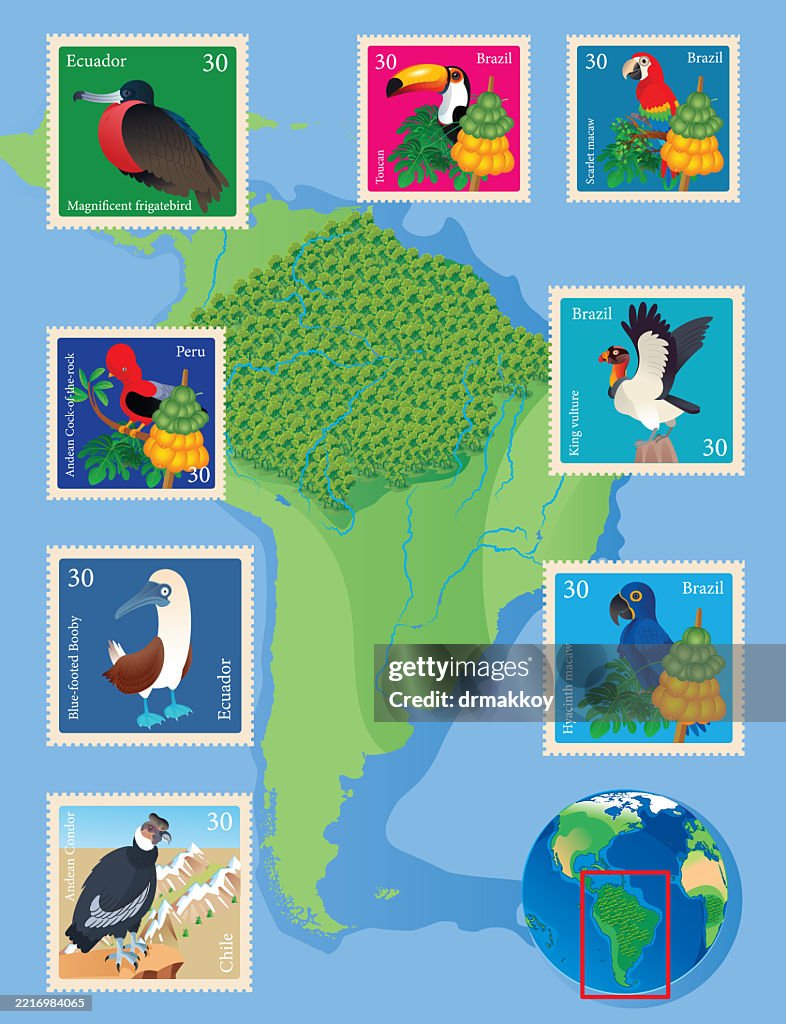 Amazon Forest map and
Tropical Birds Stamps