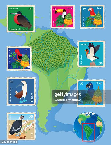 amazon forest map and tropical birds stamps - amazon river stock illustrations