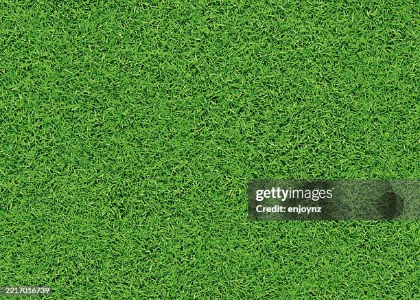 stockillustraties, clipart, cartoons en iconen met seamless green grass background - kunstgras