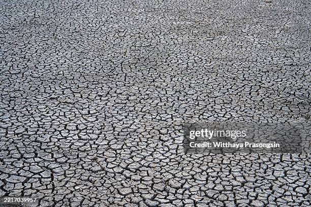 Topsoil Pattern 65 Topsoil Texture Stock Photos, High-Res Pictures, and Images - Getty ...