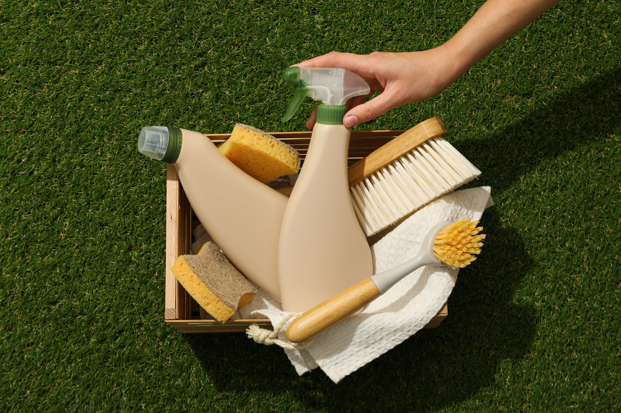 ecological detergents