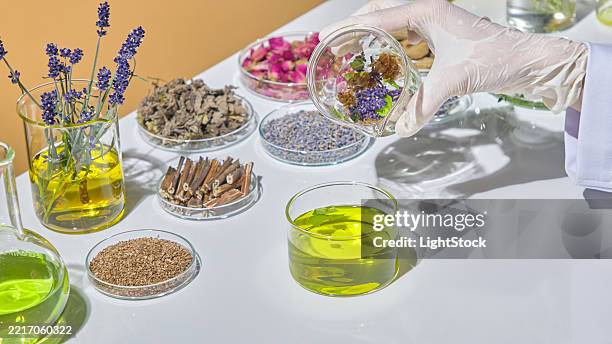 Expert Tips for Selecting the Best Herbal Extracts