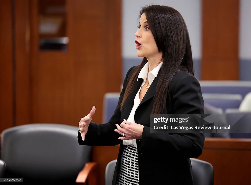 Attorney Alex Rafferty Attorney Michaelle Rafferty, who represents Fred Goldman, argues ...