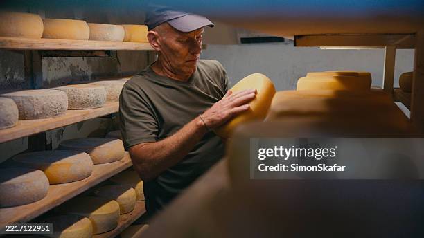 hombre manipulando la rueda de queso durante el proceso de maduración - queso en forma redonda fotografías e imágenes de stock