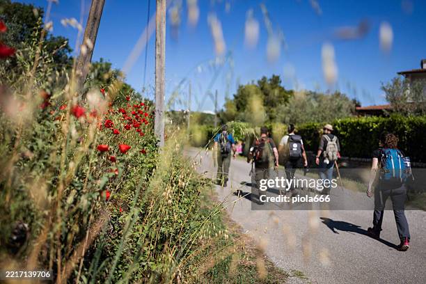 group of hikers on the via francigena trail - pilgrimage stock pictures, royalty-free photos & images