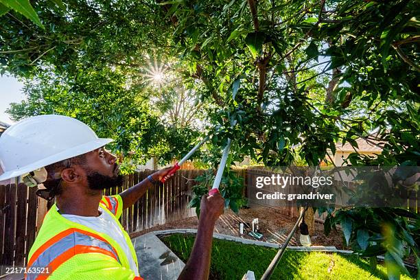 young african american man wearing hardhat and high visibility vest, safety gear, trims a tree in a back yard on a sunny summer afternoon - hedge clippers stock pictures, royalty-free photos & images