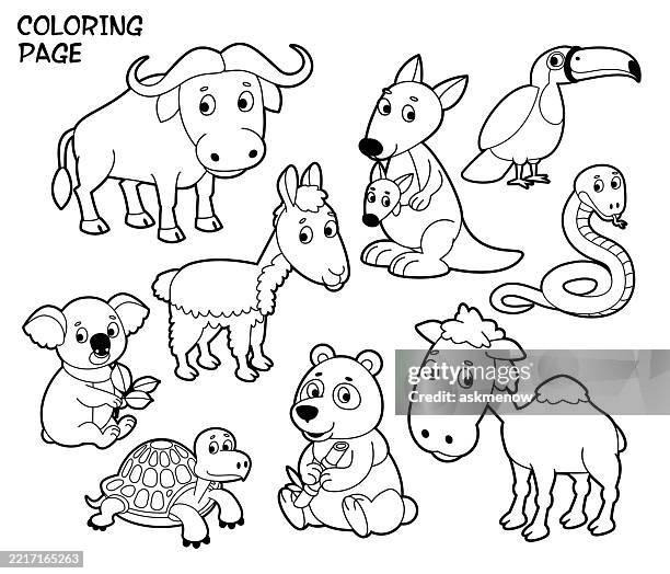 coloring page with cute animals - koala stock illustrations