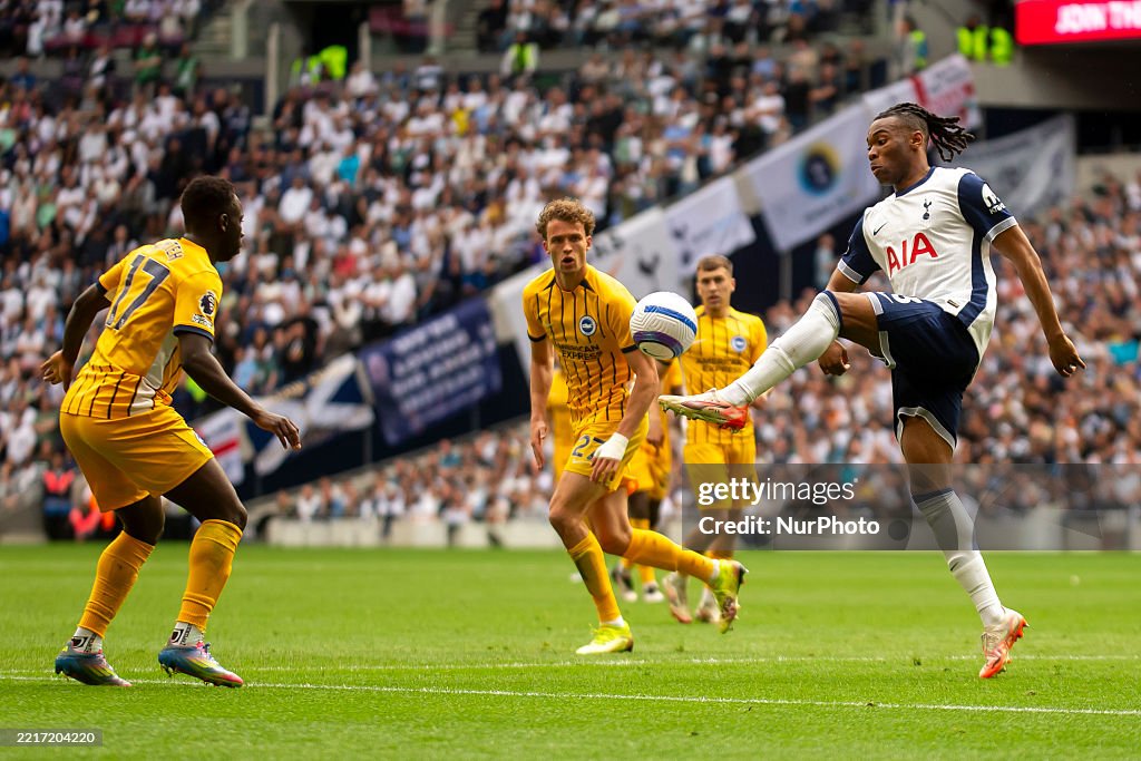 Tottenham Hotspur FC v Brighton & Hove Albion FC - Premier League