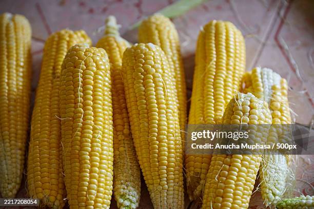 heap of sweet corn for sale at market - maize crop stock pictures, royalty-free photos & images