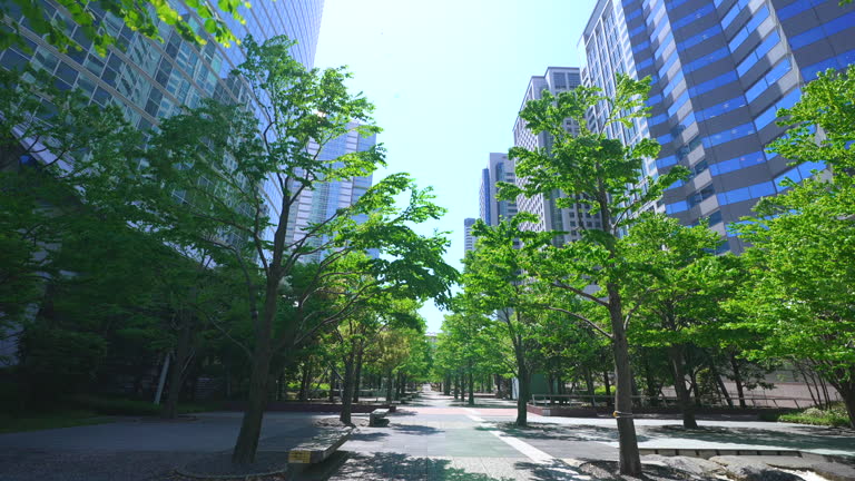 https://media.gettyimages.com/id/2217211075/video/business-district-with-skyscrapers-and-lush-green-trees.jpg?b=1&s=640x640&k=20&c=0tvvg-R23w0gWgZCceOLJ1QWDmVzDAh__2Sqs-OsXNU=