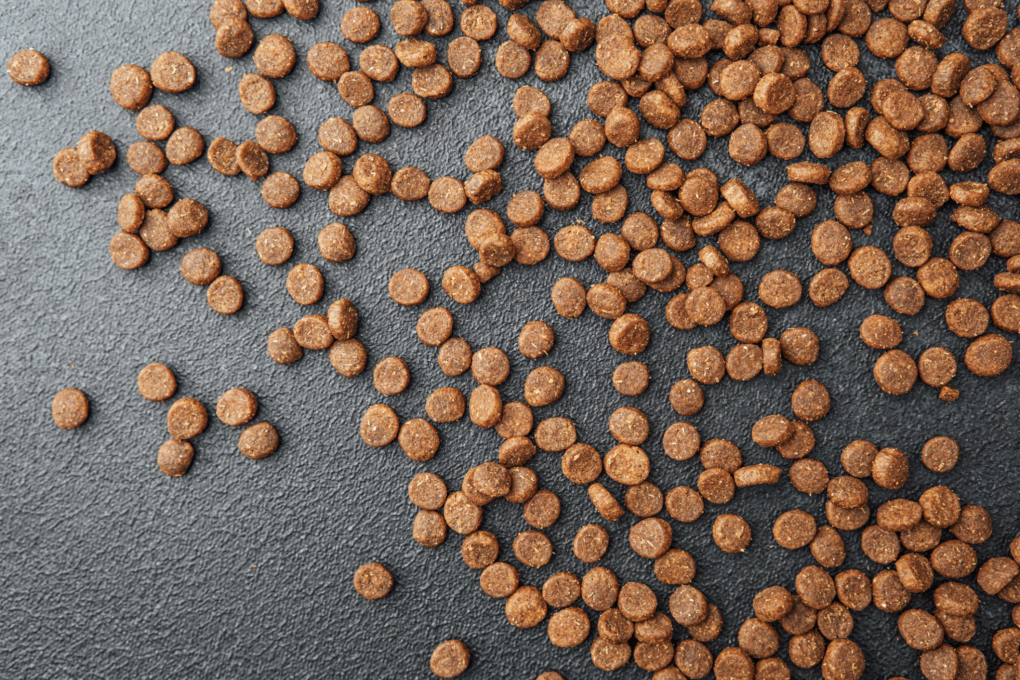 dog food ingredients