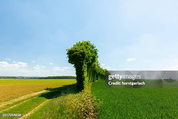 natural barriers