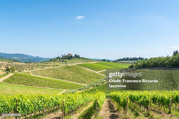 vineyards in springtime, chianti region, tuscany - chianti region stock pictures, royalty-free photos & images