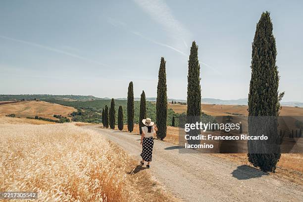 woman explores iconic cypress tree-lined road in tuscany, italy, enjoying the scenic landscape. - tuscany stock pictures, royalty-free photos & images