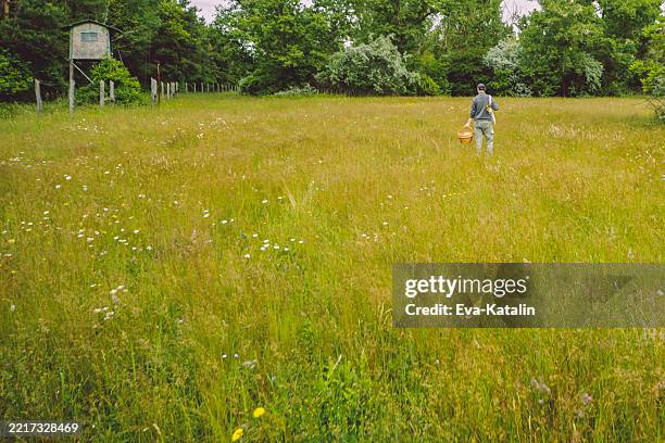 men holding mushrooms - thyme field stock pictures, royalty-free photos & images