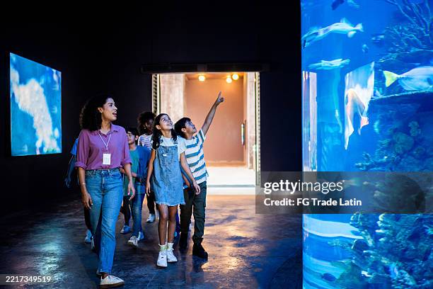 child students and teacher looking fishes on aquarium - aquarium stockfoto's en -beelden