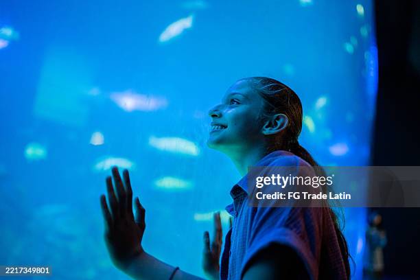 child girl looking fishes on aquarium - aquarium stockfoto's en -beelden