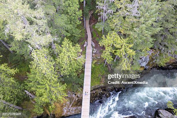 aerial view of young girls crossing suspension bridge over river - hangbrug stockfoto's en -beelden