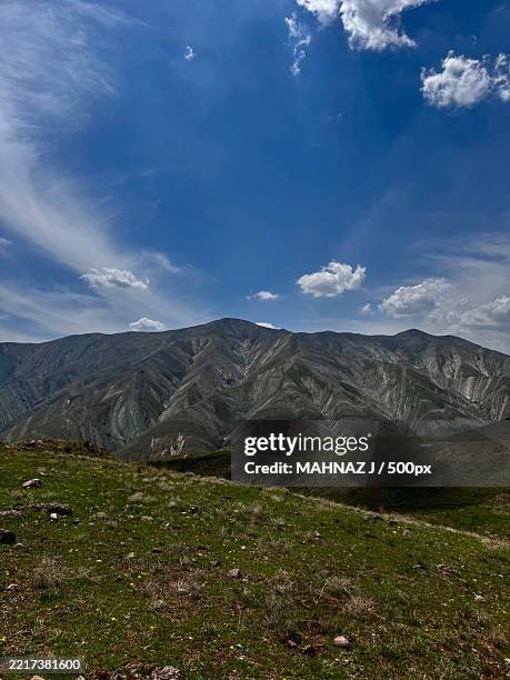 Tehran Pretty 968 Tehran Pretty Stock Photos, High-Res Pictures, and Images - Getty ...