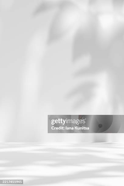 3d empty minimalistic white monochrome vertical background. interior with shadows of leaves on wall and floor. elegant sunlight overlay for eco, wellness, organic, or botanical themes, designs, nature-inspired concepts. - iluminación gobo fotografías e imágenes de stock