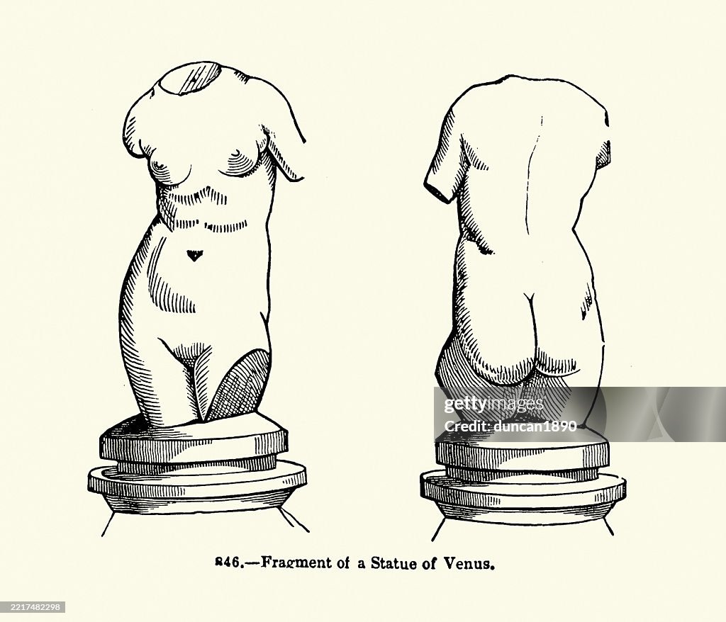 Fragment of a statue of Venus, Ancient Roman statue, Mythology, History of art, Sculpture