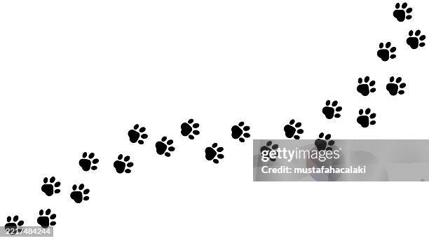 illustrations, cliparts, dessins animés et icônes de empreintes de pattes de chat marchant simples - trace