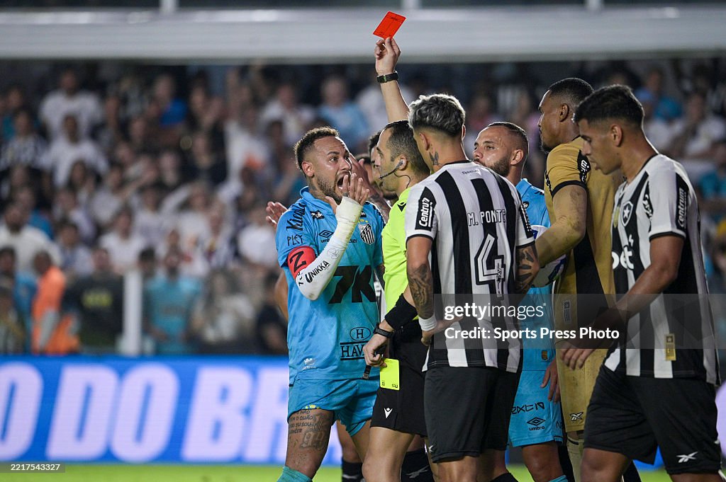 Santos v Botafogo - Brasileirao 2025