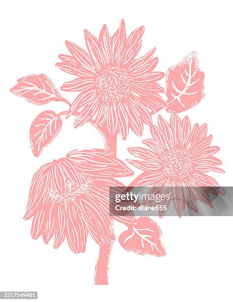 linocut sunflower - sunflower drawing stock illustrations
