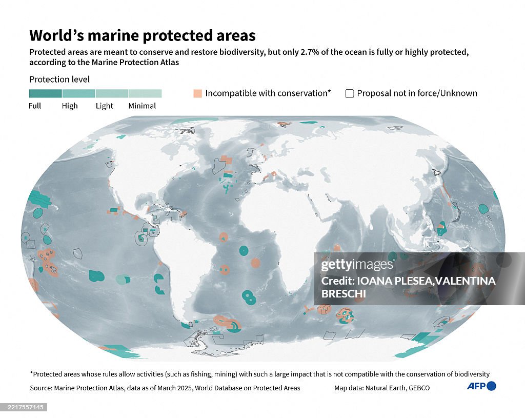 Protection Map Infographic with a world map showing marine protected areas by level ...