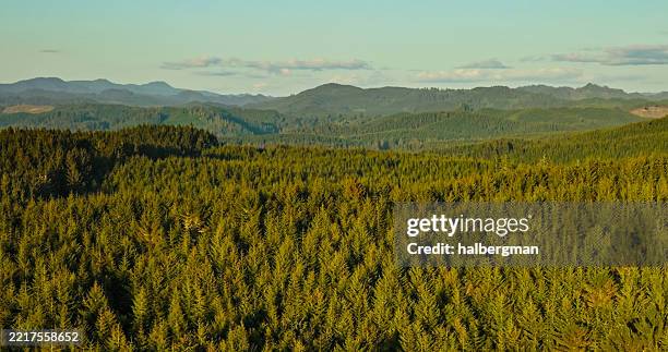 aerial view of forest covered mountains in the oregon coastal range - oregon coast stock pictures, royalty-free photos & images