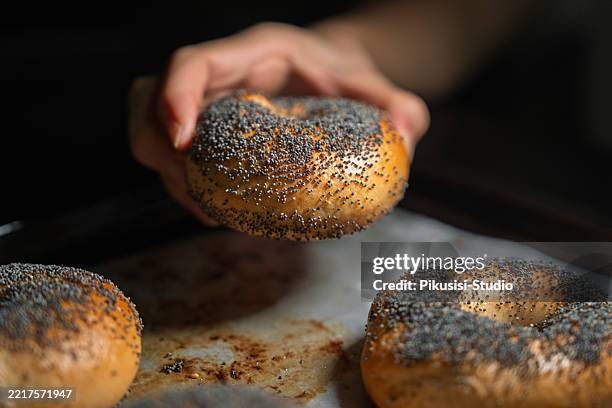 ramasser un bagel aux graines de pavot frais sur une plaque de cuisson - graine de pavot photos et images de collection