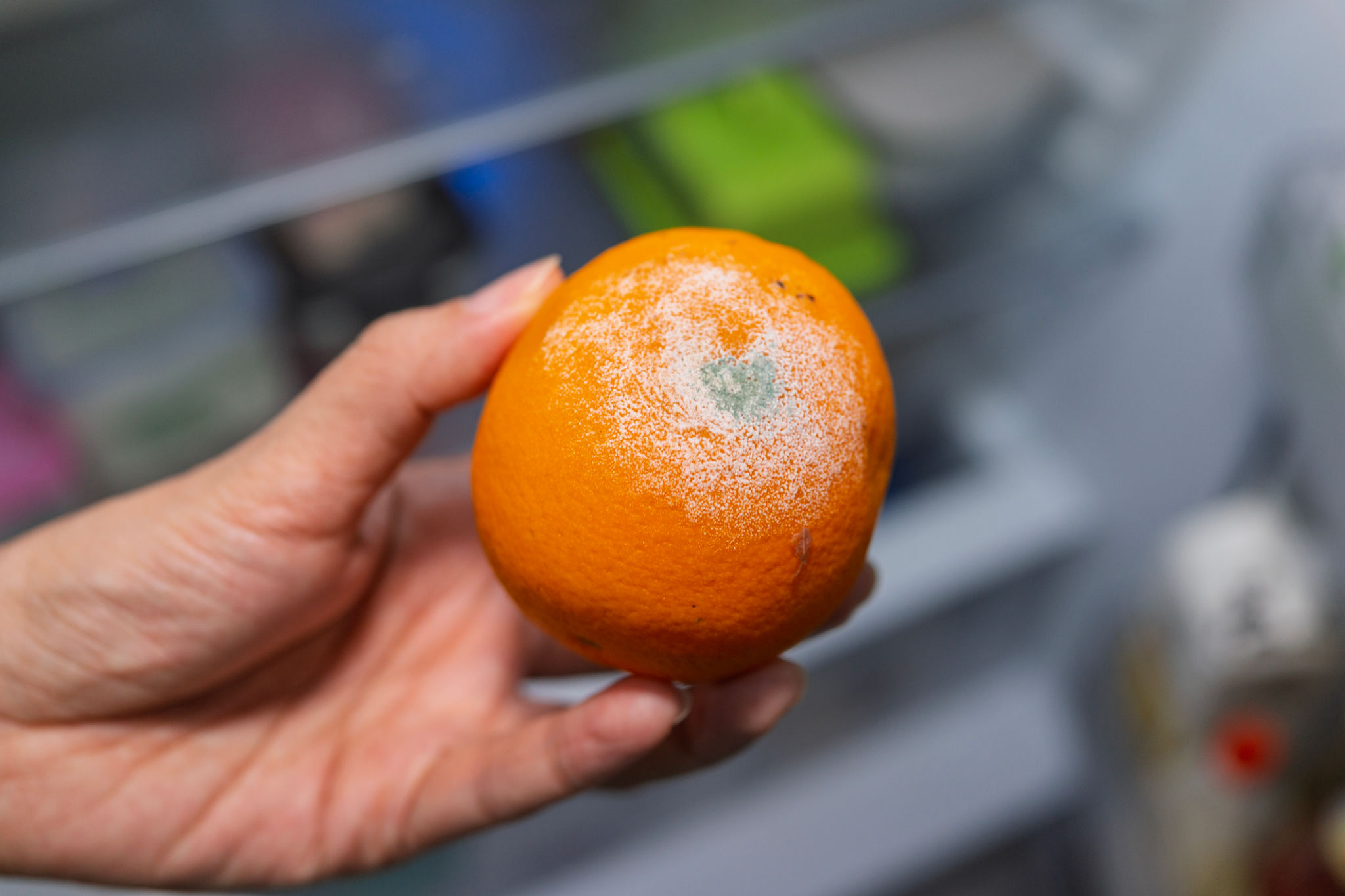 food contamination