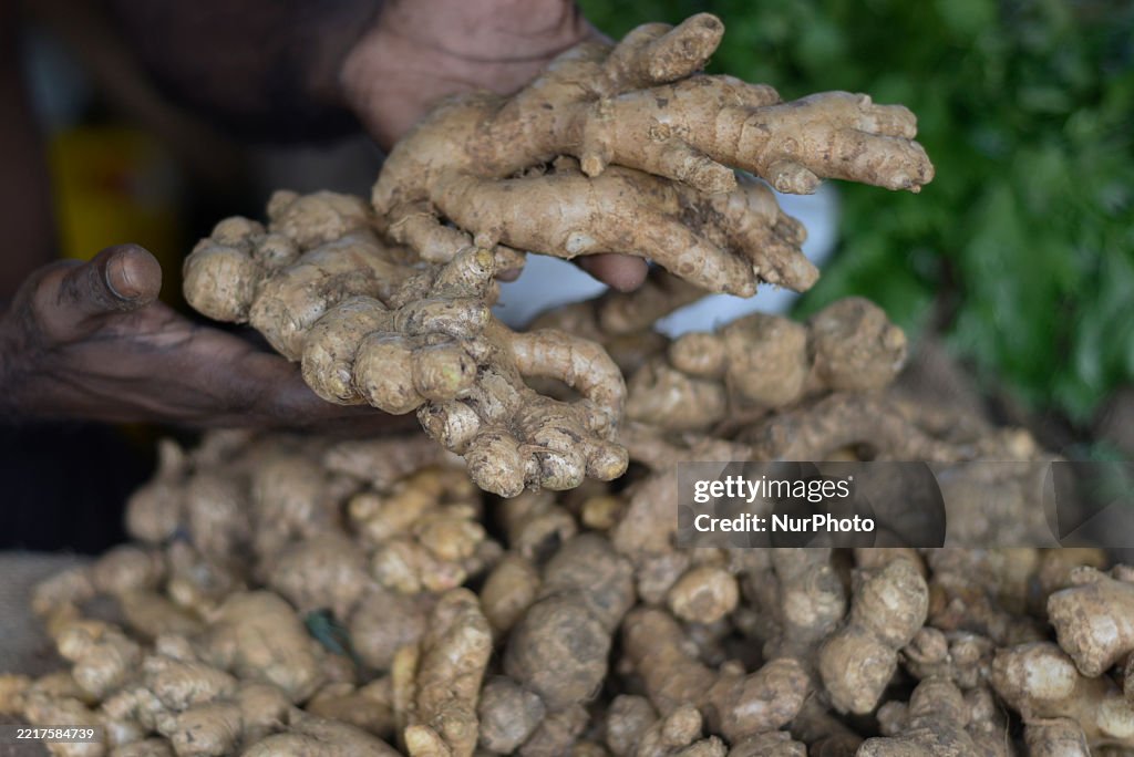 Colombo Roots A local vendor displays large ginger root at a local market near ...