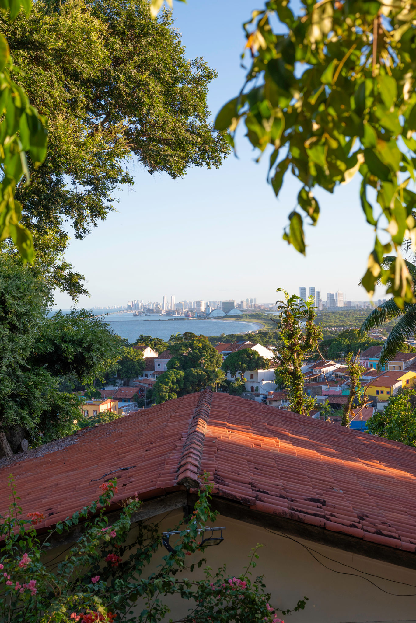 arquitetura tropical