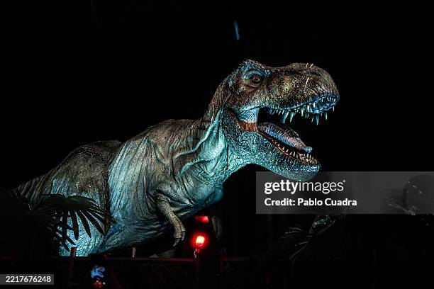 Tyrannosaurus rex robot dinosaur is seen at the "Jurassic World: The Experience" exhibition at Espacio Ibercaja Delicias on May 29, 2025 in Madrid,...