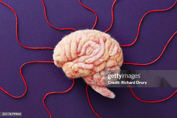 String Brain 1,560 Diagram Of The Brain Stock Photos, High-Res Pictures, and Images ...