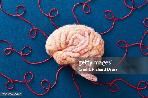 String Brain A4 A Human Brain Made Of Wool With String Representing Neural Pathways ...