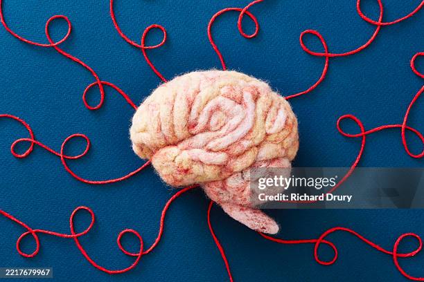 a human brain made of wool with string representing neural pathways - saúde mental imagens e fotografias de stock