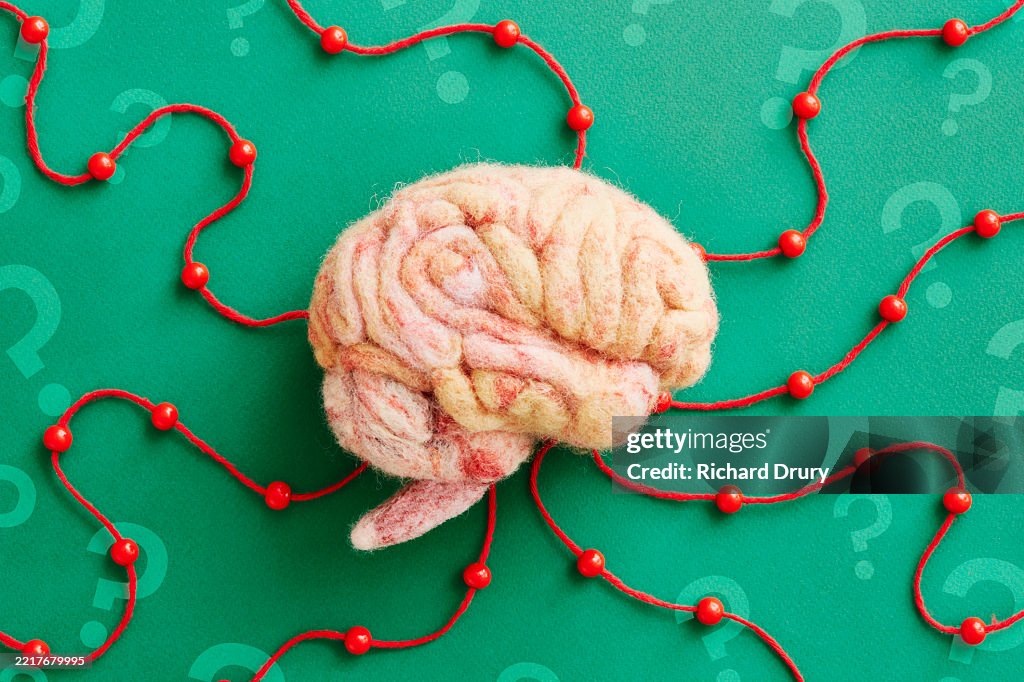 String Brain Project A Human Brain Surrounded By Question Marks And String Pathways High-Res ...