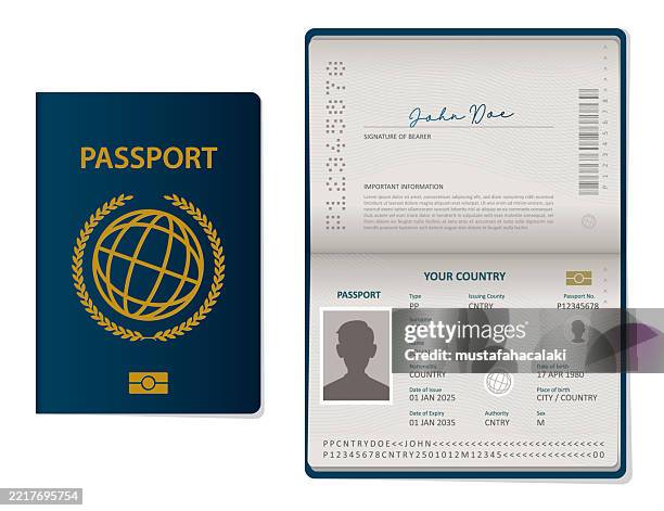 stockillustraties, clipart, cartoons en iconen met passport illustration - paspoort