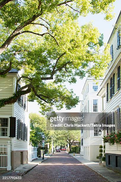 church street, charleston, south carolina, usa - south carolina stock-fotos und bilder