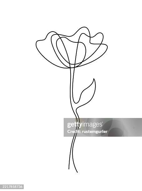 continuous line flower on white background. flower drawing mono line. - bay leaf white background stock illustrations