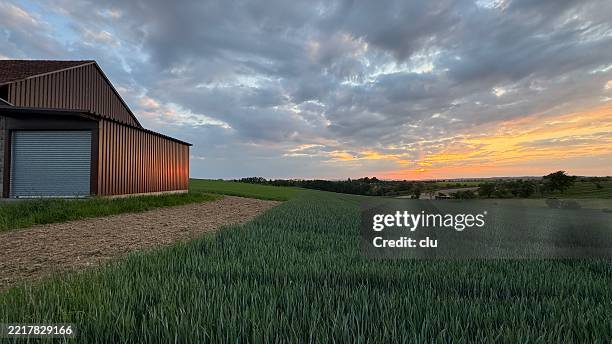 barn at sunset - edificio agrícola fotografías e imágenes de stock
