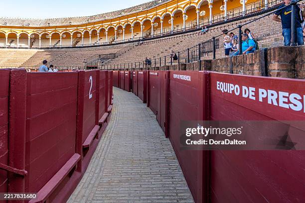 maestranza plaza de toros - seville bullring, andalusia, spain - stierengevecht stockfoto's en -beelden