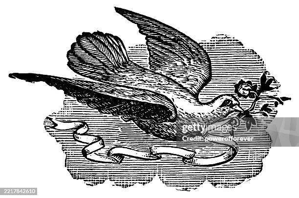 ilustraciones, imágenes clip art, dibujos animados e iconos de stock de paloma que lleva una rama de olivo con cinta adjunta - siglo xix - paloma ave