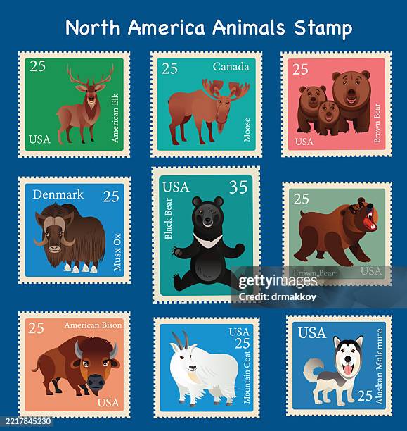 north america animals stamp - black bear stock illustrations