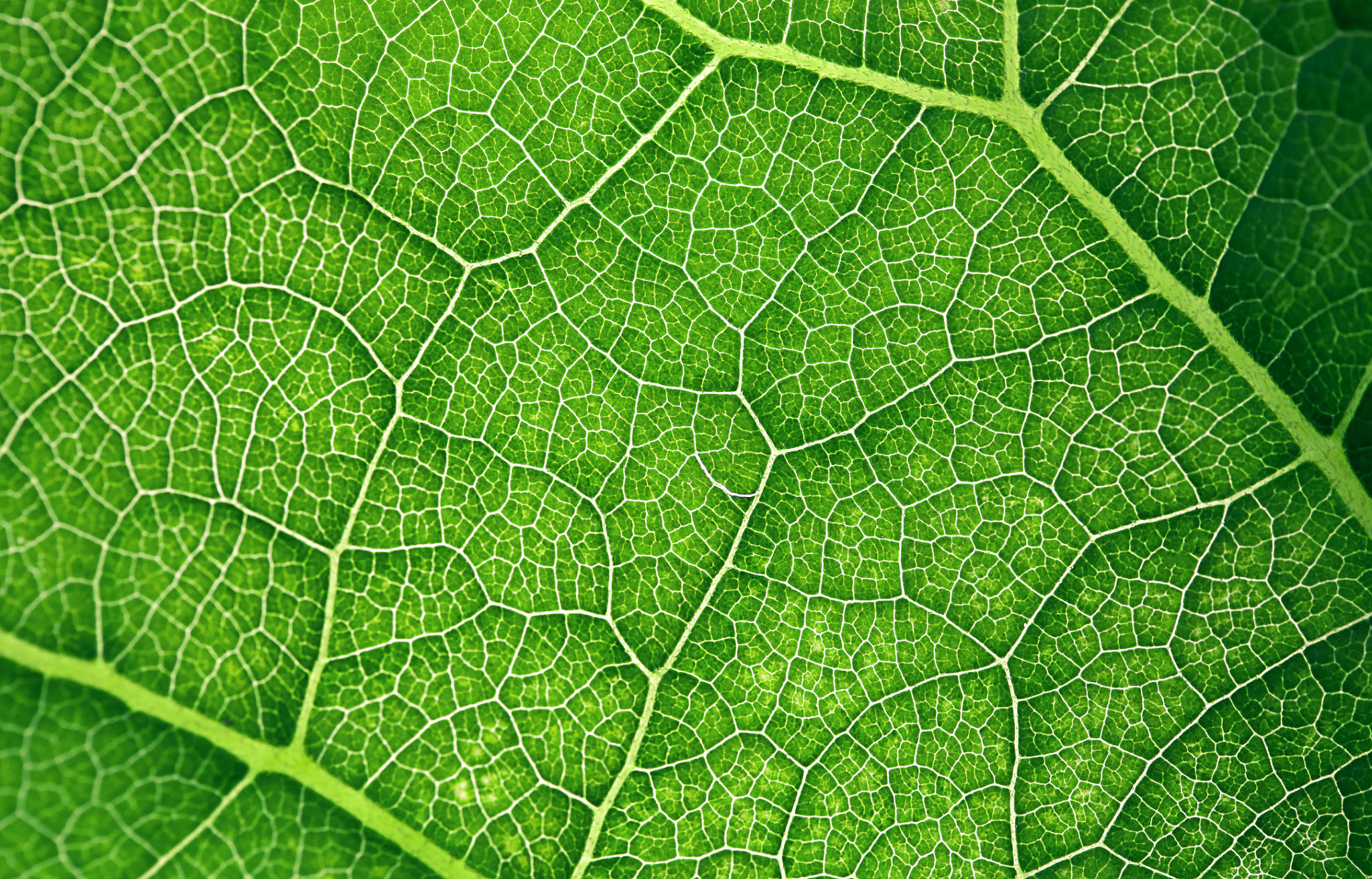 eco-friendly design