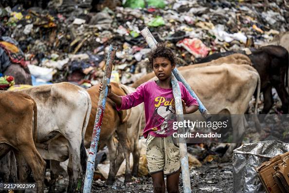 Child Rag A child ragpicker carries recyclable material from the Boragaon... News ...
